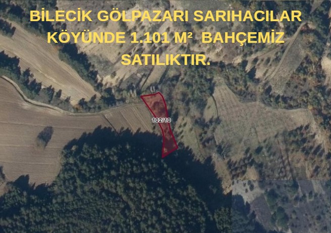 Fotoğraf